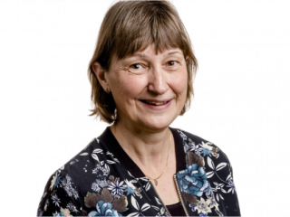Anne Visser